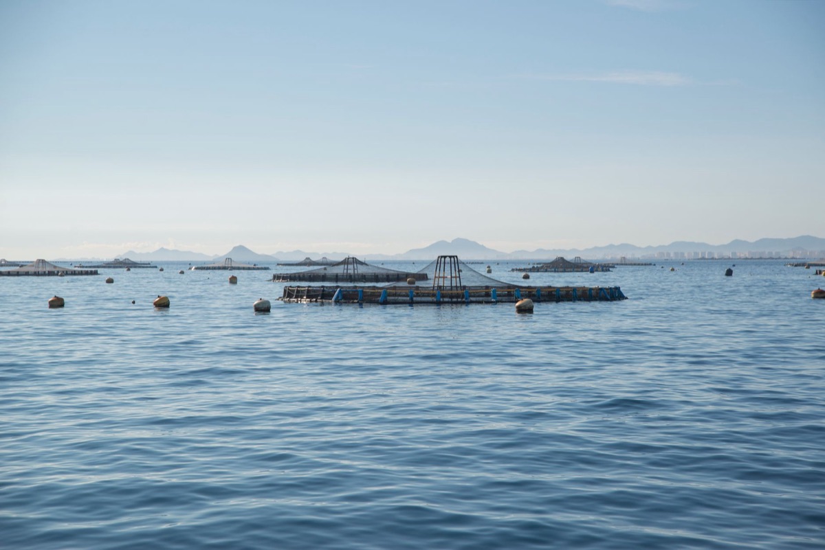 aquaculture technology setup in controlled environment