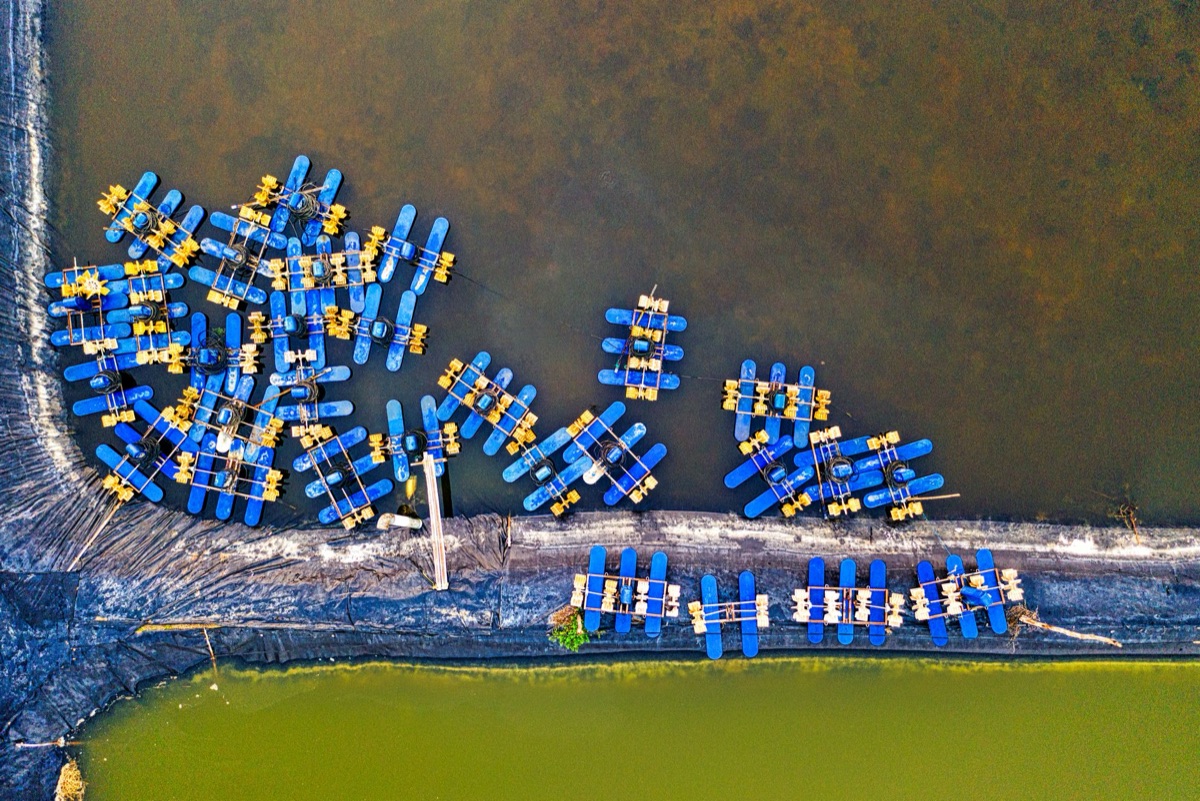 aquaculture technology setup