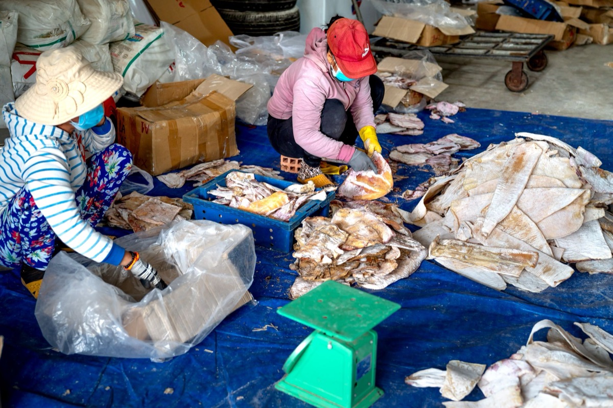 全球海鮮供應鏈網路