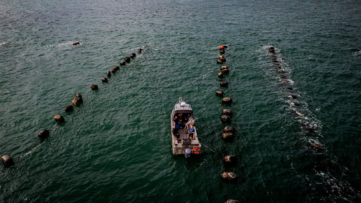 Aerial view of a boat navigating through waters in New Zealand, surrounded by buoys on a sunny day.