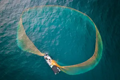 Gestione ecosistema: guida Aree Marine Protette
