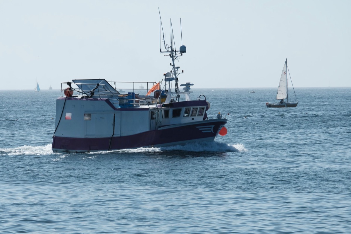 MSY Fischboot