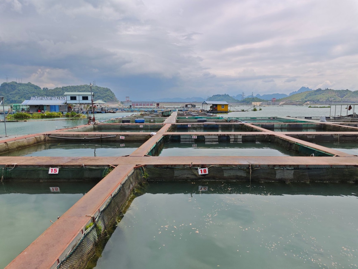 fishery management board meeting