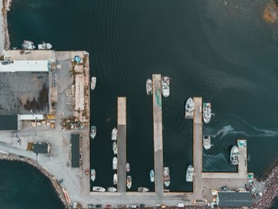 MSYとは何か？資源枯渇を防ぐ持続的生産量の理論的境界線