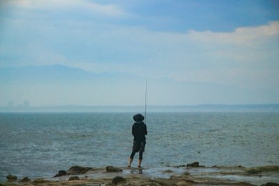 MSY理論：如何維持水族缸的長期穩定生態系統完整指南