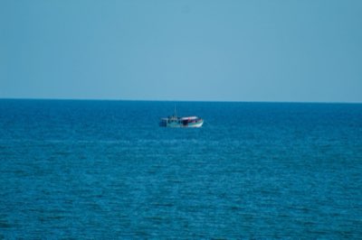 MSY: Wissenschaftliche Grundlage für die Erträge aus marinen