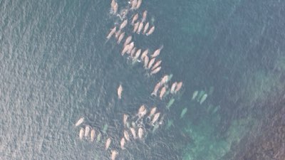 Fisheries Management: Protecting Stocks Beyond 80% Stress