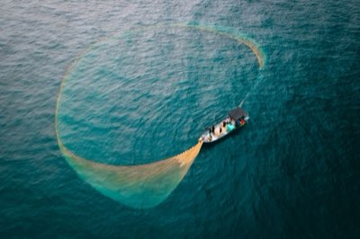 Au-delà du RMD : 54% du déclin dû aux habitats marins menacés