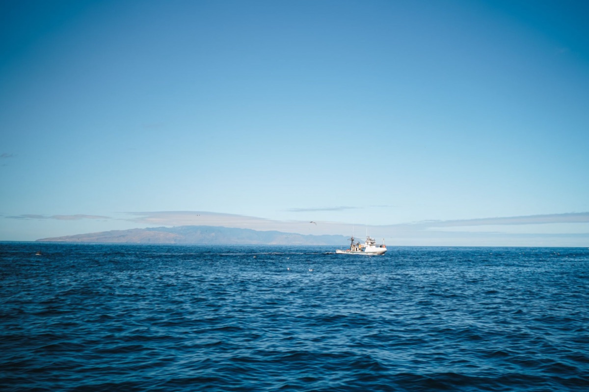 Blauwe vis vangboot in zee