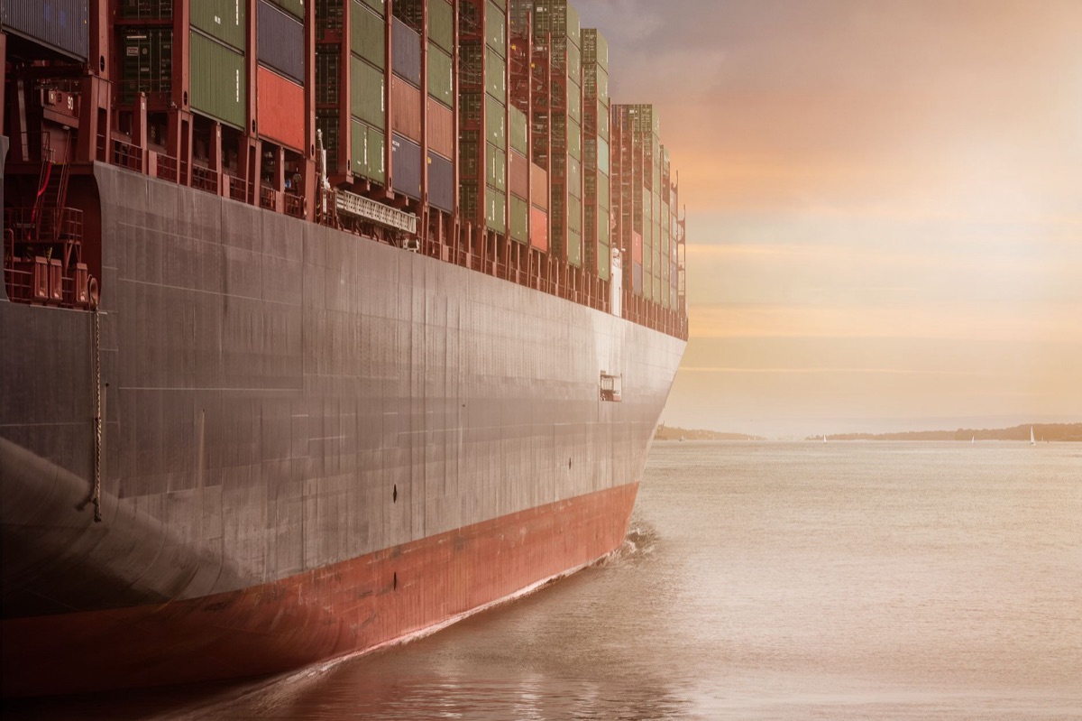 Globale Fischexportmärkte mit Lieferketten und Handelsnetzwerken