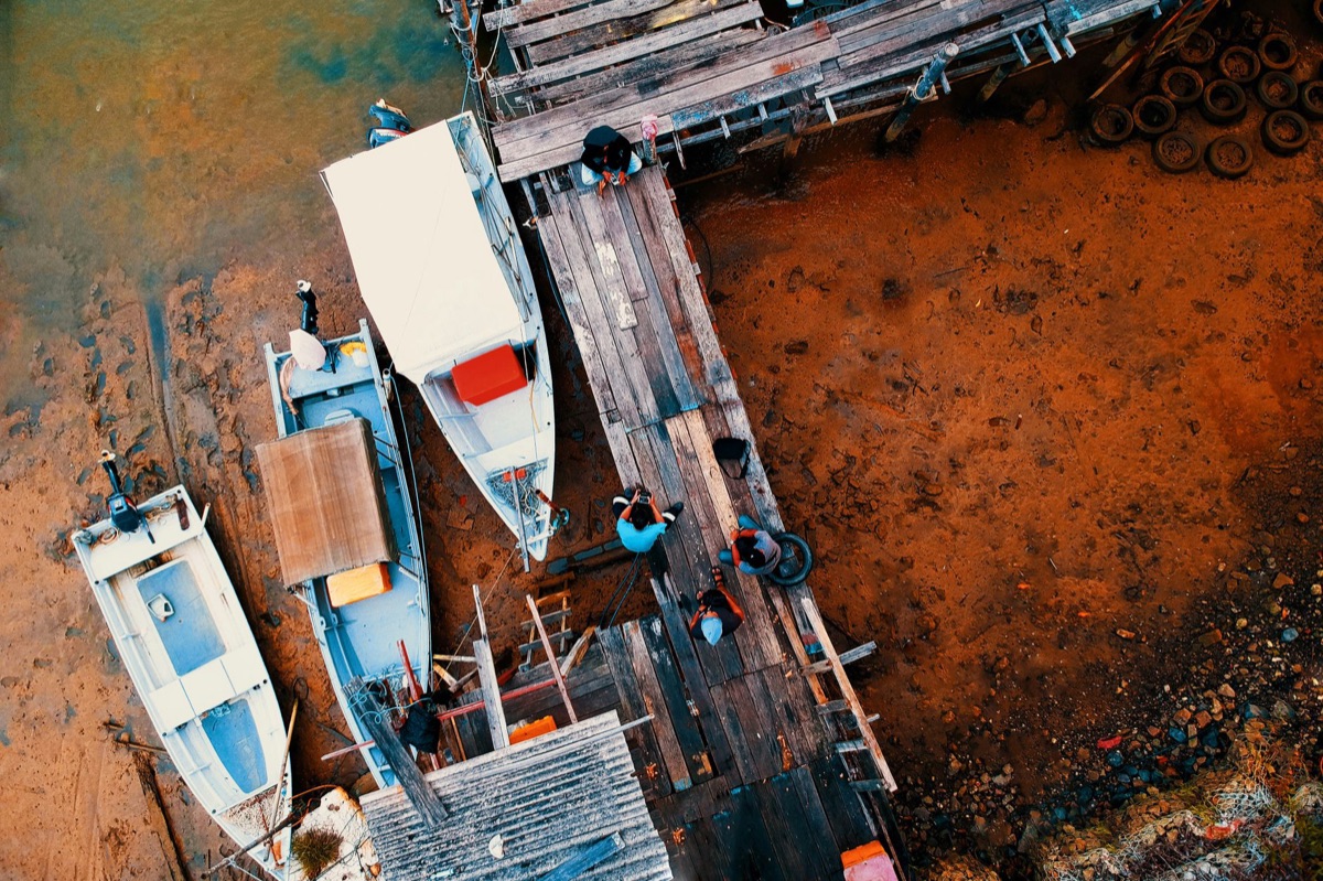 Fishermen at dock loading refrigerated seafood containers for international export