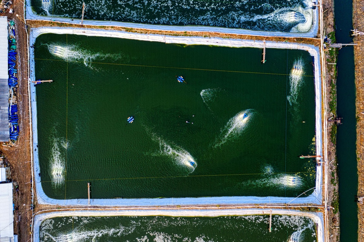 Stock photo of aquaculture farm with fish tanks and water flow