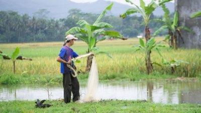 Pesca vs. Cultivo: O Desafio da Proteína Marinha em Crescimento