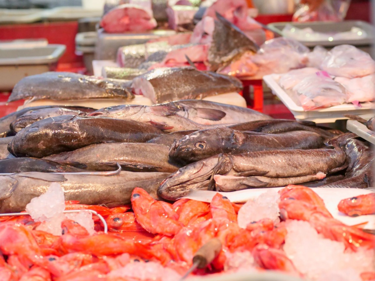 mercado global de peixes