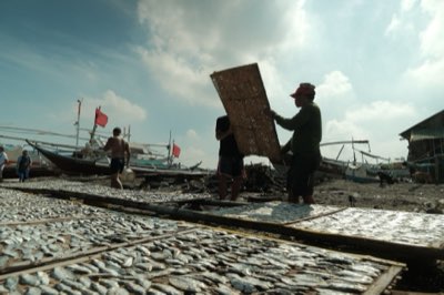 Marine Ökosysteme: 172 Millionen Tonnen Fischfang und die
