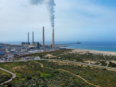 Ocean Stress: 172M Tonnes Harvest Pushes Biological Limits