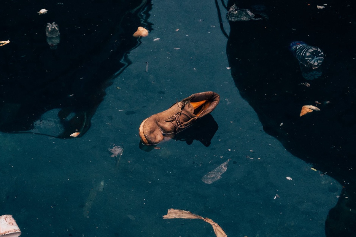 Ocean pollution affecting marine life