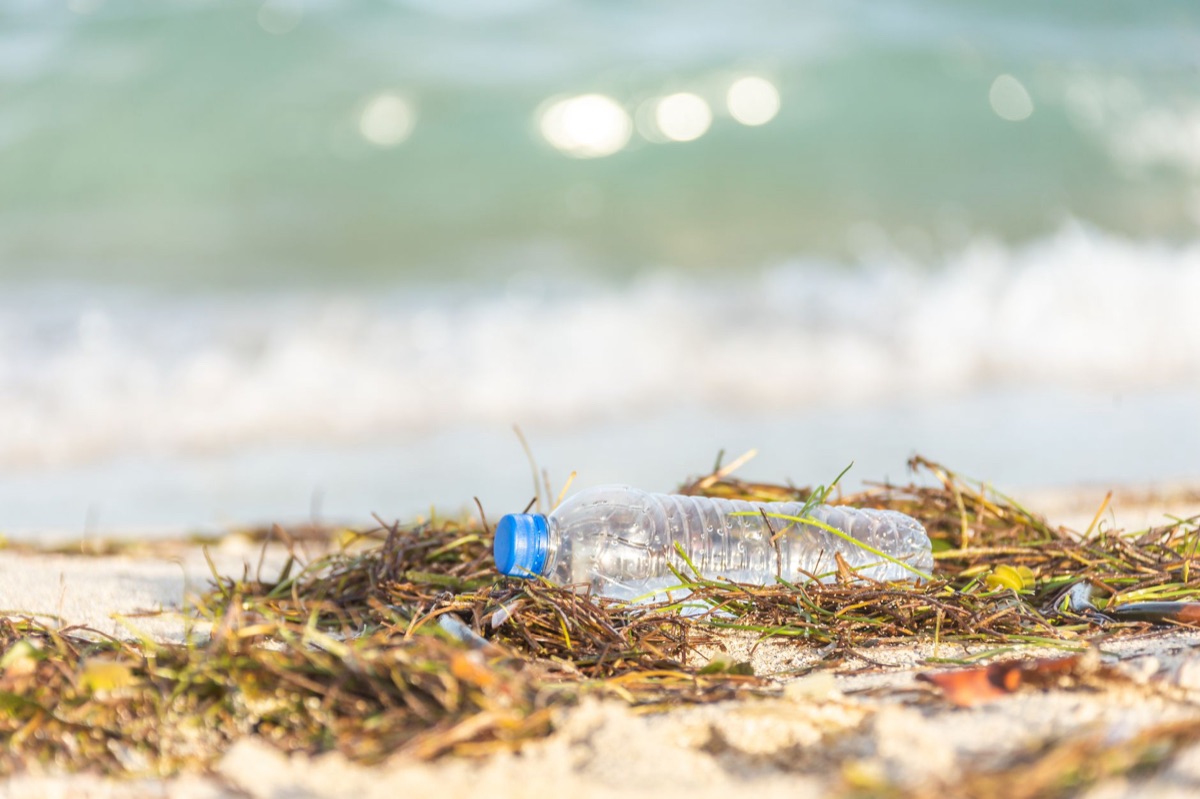 Effets de la pollution de l'océan sur les coasts