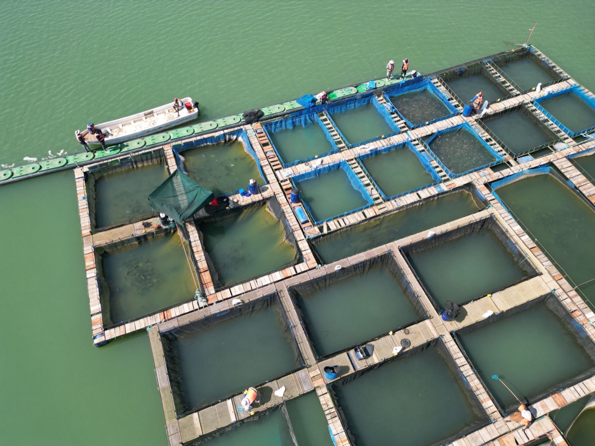 Fischzuchtanlage mit Futterbrühen