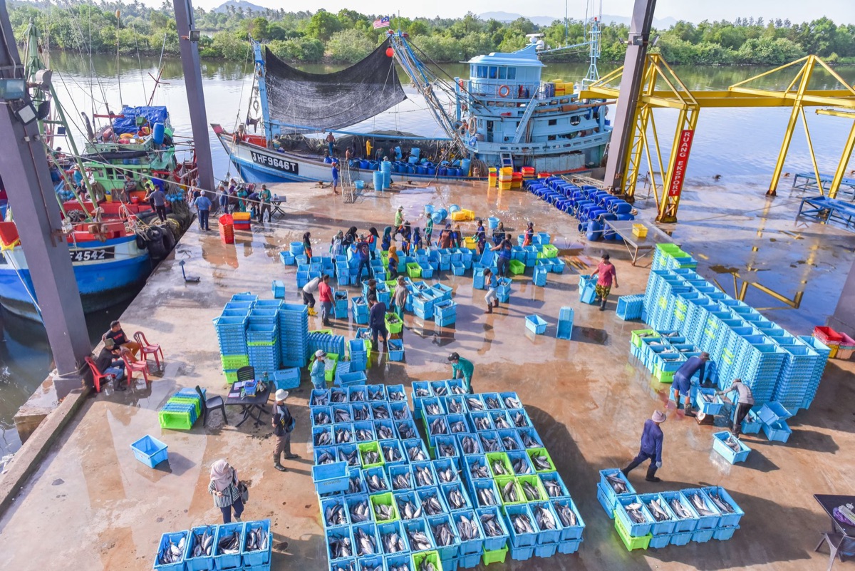 Conteneur de distribution de poissons