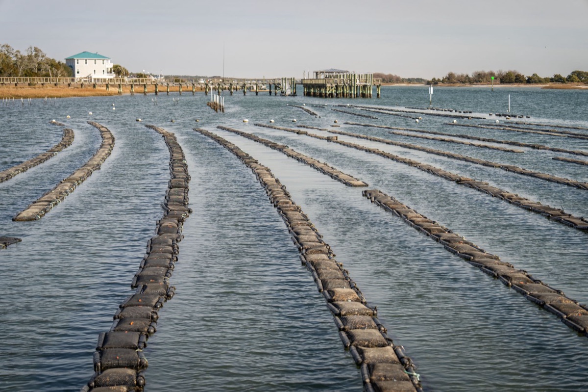 Aquaculture farm exterior
