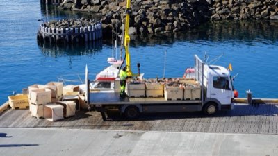 養殖業が世界の食卓を支える構造的役割と経済的価値完全ガイド