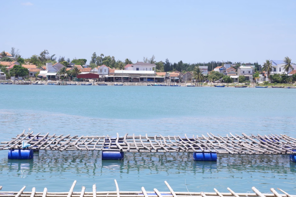 Technologie : un système de réutilisation de l'eau en aquaculture