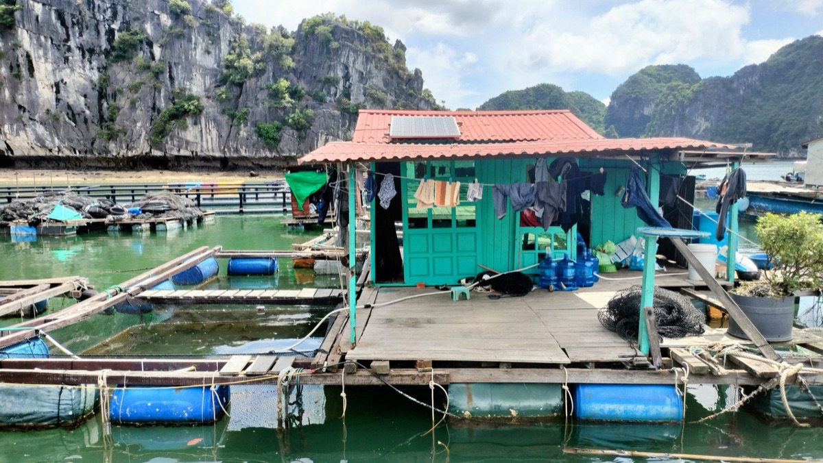 Vue d'un élevage de poissons avec de l'eau verte