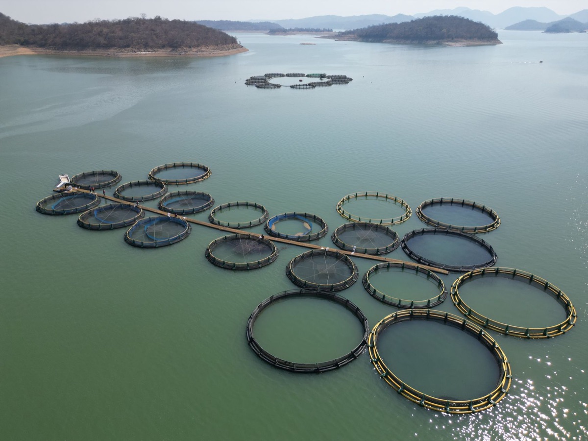 Technologie d'élevage de poissons durable