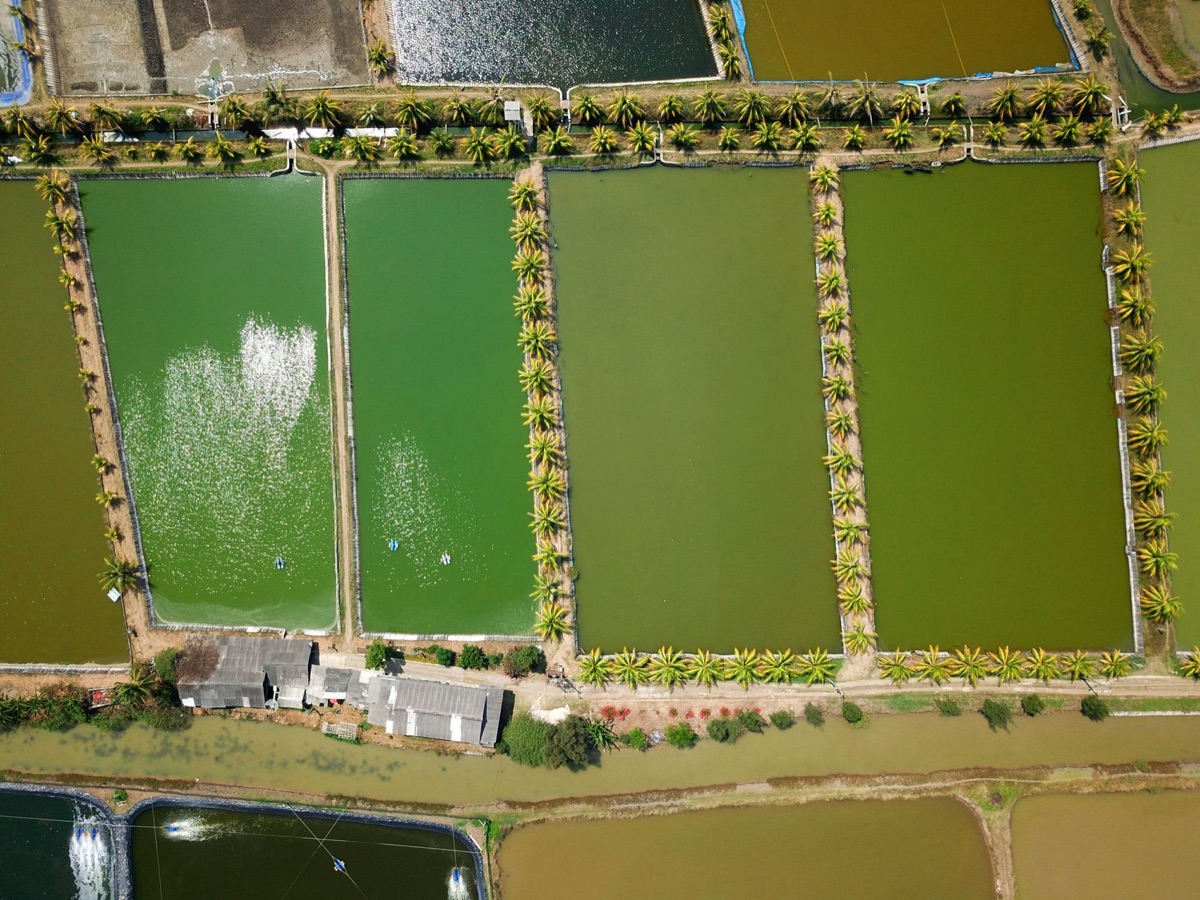 aquaculture pond with monitoring sensors