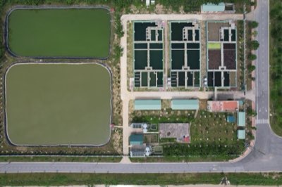 水產養殖轉型：邁向永續海洋蛋白質的關鍵技術革新完整指南