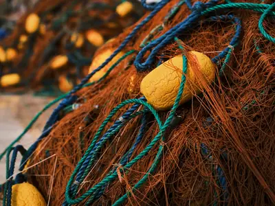 Fishery law marine ecology: How to manage aquatic resources