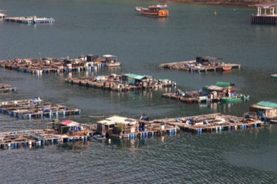 IMTA: Ciclos cerrados para un futuro marino regenerativo
