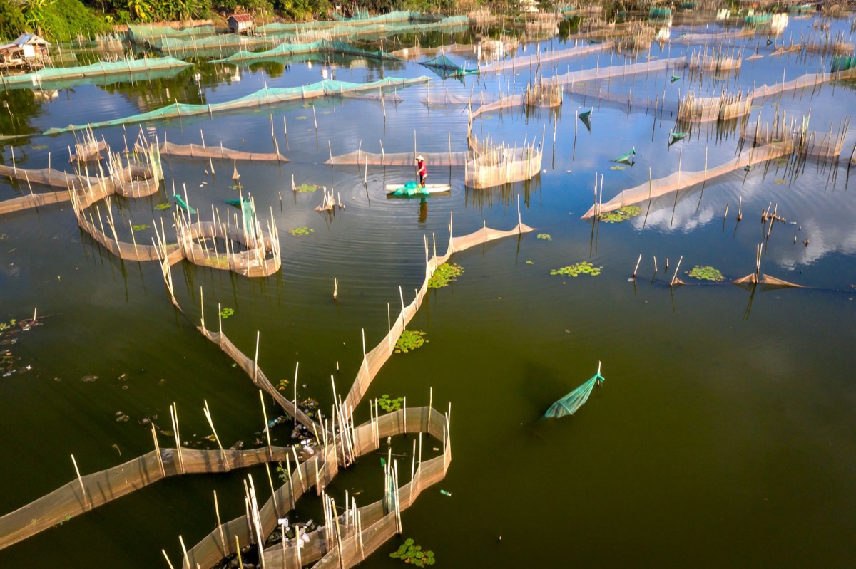 instalación de cultivo de peces sostenible en río