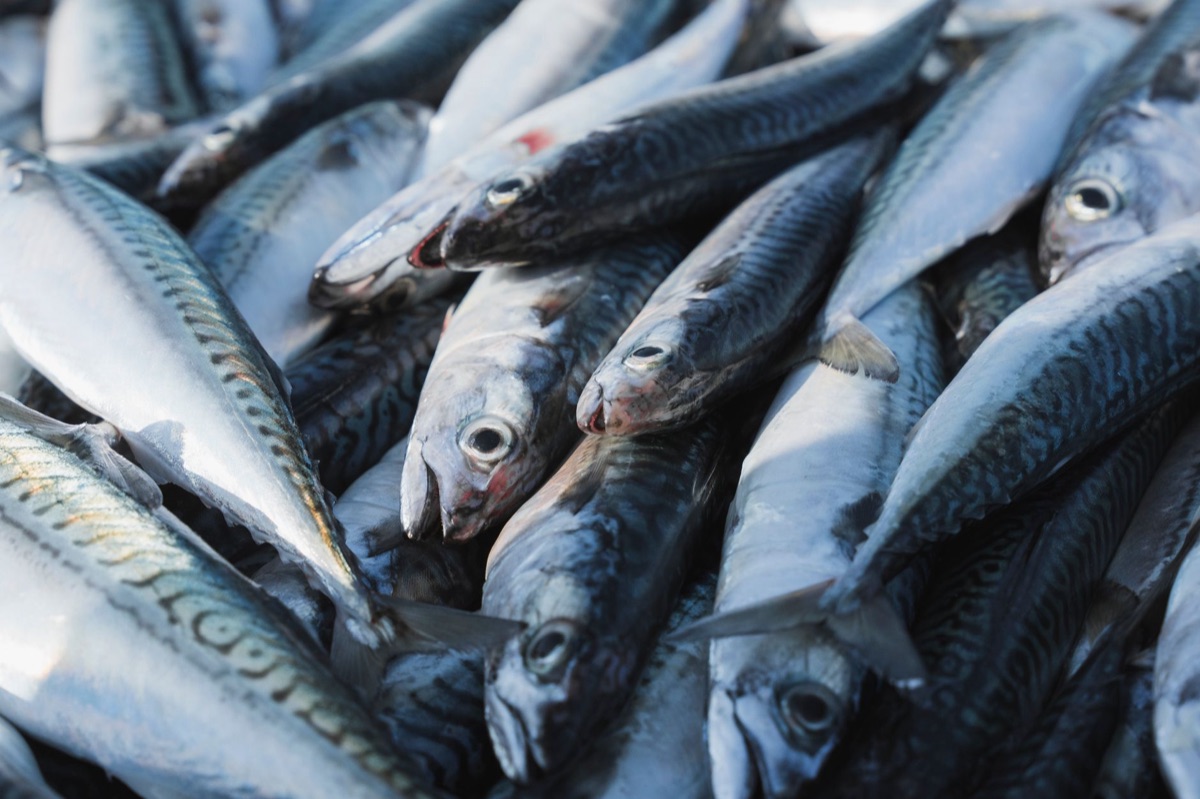 Tecnologia di pesca sostenibile