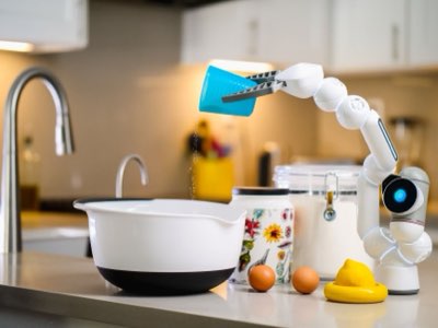 食の未来を守る鍵はここに：高効率養殖技術で資源を守り育む