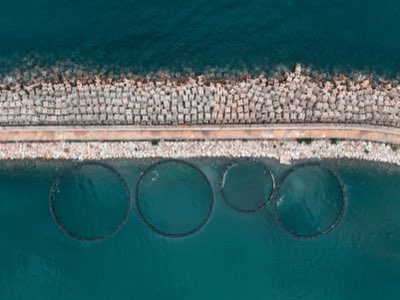 永續漁業挑戰：現代技術如何維持蛋白質供應鏈？完整指南
