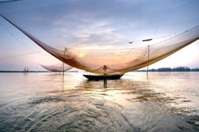 MSY Theory: Securing Ocean Fisheries for the Next 20 Years