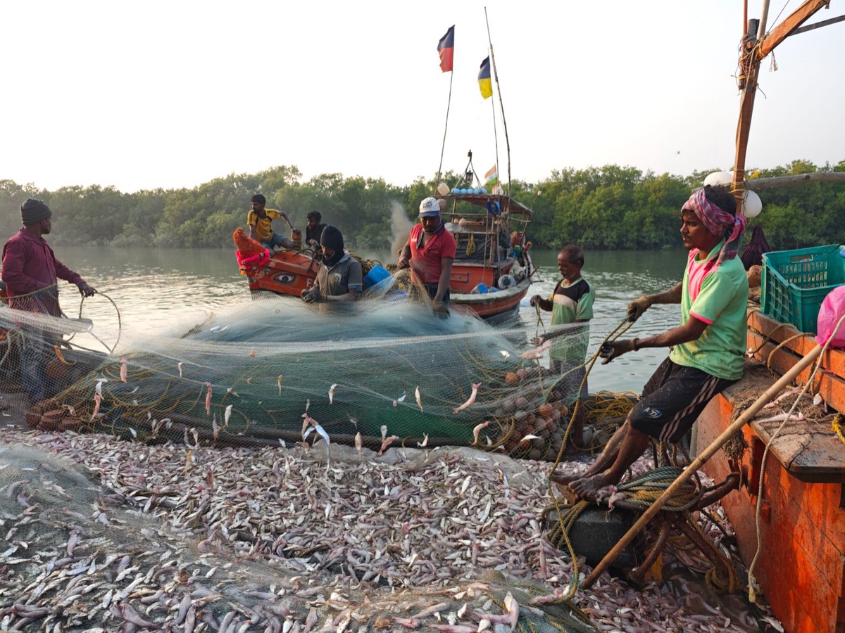 Pêcheurs au travail
