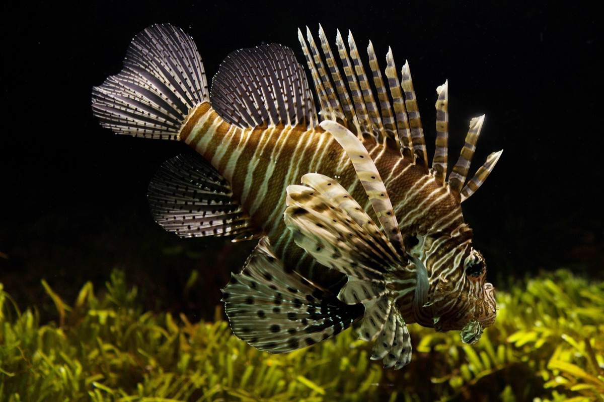 Ocean Health Guide: How Global Standards Balance Human Needs