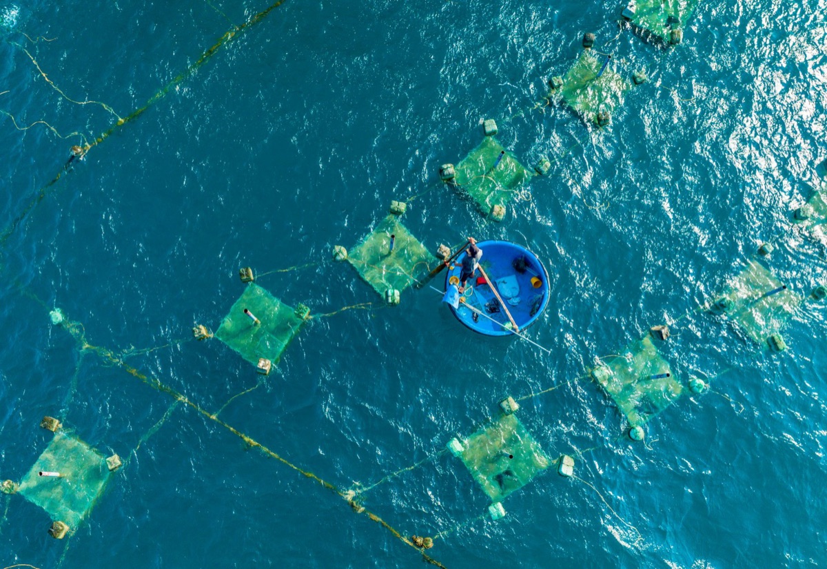 Gestão Pesqueira: Guia Completo de Sustentabilidade Global g