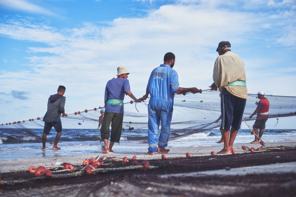 Gestão Pesqueira: Guia Completo de Sustentabilidade Global g